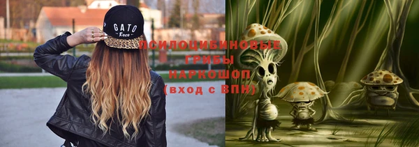 ECSTASY Богданович