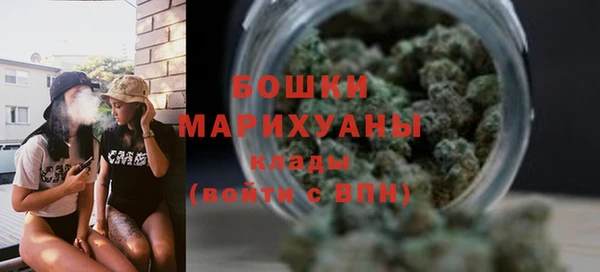 ECSTASY Богданович