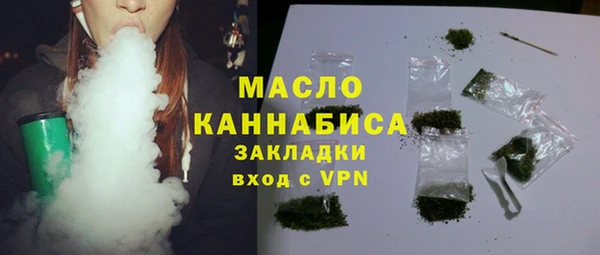 ECSTASY Богданович