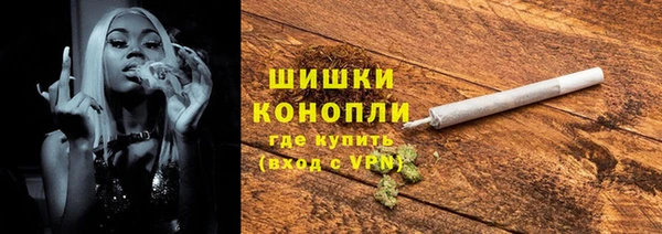 ECSTASY Богданович