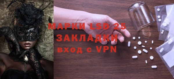 прущие грибы Бородино