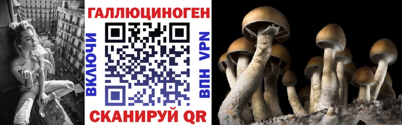 Галлюциногенные грибы мухоморы  продажа наркотиков  МЕГА ссылка  Когалым 